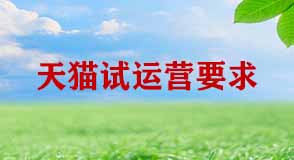 天貓試運營期間有哪些要求