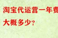 淘寶代運(yùn)營一年費(fèi)用大概多少？