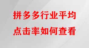 拼多多代運(yùn)營