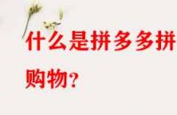 什么是拼多多拼單購物？