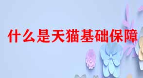 天貓代運(yùn)營(yíng)