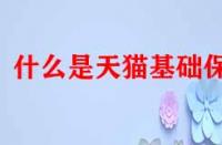 什么是天貓基礎保障？它的作用是什么？