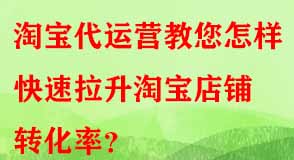 淘寶代運(yùn)營