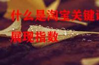 什么是淘寶關(guān)鍵詞展現(xiàn)指數(shù)？它的作用是什么？
