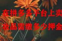 在拼多多平臺(tái)上賣化妝品需繳多少押金？