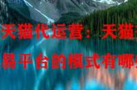 天貓代運(yùn)營：天貓交易平臺(tái)的模式有哪些？