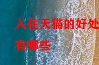 入住天貓的好處有哪些？它的優(yōu)勢在哪里？