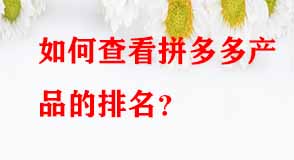 拼多多代運(yùn)營