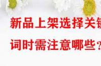 新品上架選擇關(guān)鍵詞時(shí)需注意哪些？