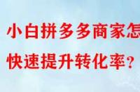 小白拼多多商家怎樣快速提升轉(zhuǎn)化率？