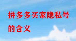 拼多多代運(yùn)營