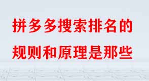 拼多多代運(yùn)營(yíng)