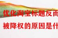 優(yōu)化淘寶標(biāo)題反而被降權(quán)的原因是什么？