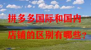 拼多多代運(yùn)營