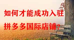 拼多多代運(yùn)營