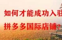 如何才能成功入駐拼多多國際店鋪？