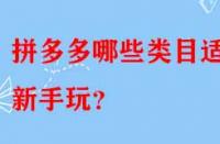 拼多多哪些類目適合新手玩？