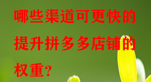 拼多多代運(yùn)營