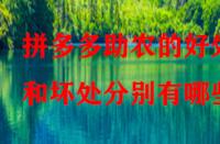 拼多多助農(nóng)的好處和壞處分別有哪些？