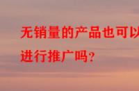 無銷量的產(chǎn)品也可以進(jìn)行推廣嗎？