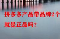 拼多多產品帶品牌2個字就是正品嗎？