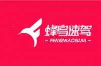 電商好拍檔：攜手“蜂鳥速駕”，輕松打造“明星”網(wǎng)店